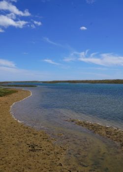 Andar, Correr, Pedalar – Almancil – Quinta do Lago