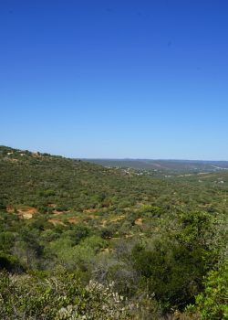 Andar, Correr, Pedalar – São Sebastião – Parragil