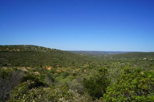 Andar, Correr, Pedalar – São Sebastião – Parragil