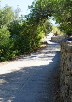 Andar, Correr, Pedalar – São Sebastião – Vale Telheiro